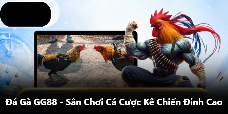 Đá Gà GG88 - Sân Chơi Cá Cược Kê Chiến Đỉnh Cao